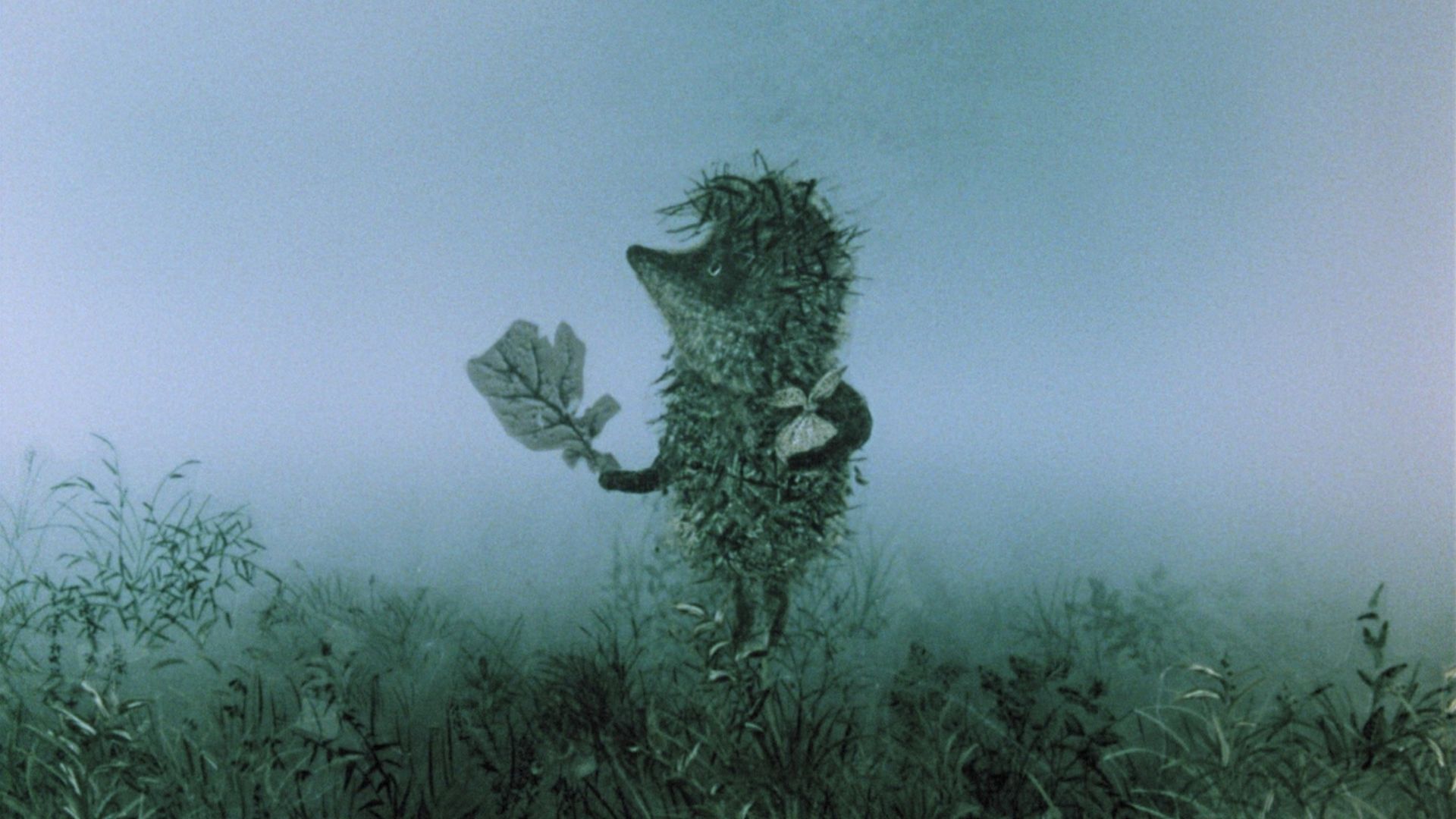 Image extraite du programme "Le Petit hérisson dans la brume et autres merveilles"