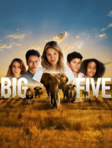 affiche du film Big five