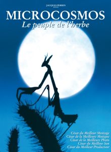 affiche du film Microcosmos : Le peuple de l'herbe